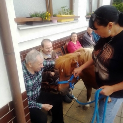 Pony kadeřnický salón L