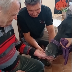 560184953_827981896415959_173087301304585216_n