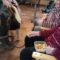 560208813_827982096415939_1737961257202012569_n