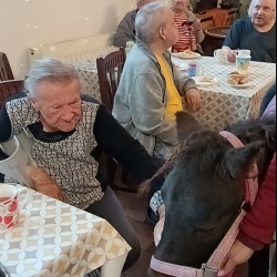 560695384_827982066415942_8402900186955891756_n