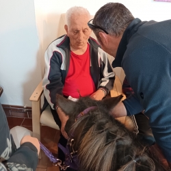 561072136_827979173082898_6330899109755800861_n