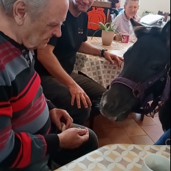 561134804_827977059749776_2431734831438648505_n