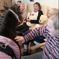 561812309_827977233083092_2607711415991654613_n