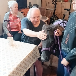 564044074_827977153083100_3362009141862482892_n